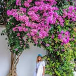 cherine's standing under pink flowers